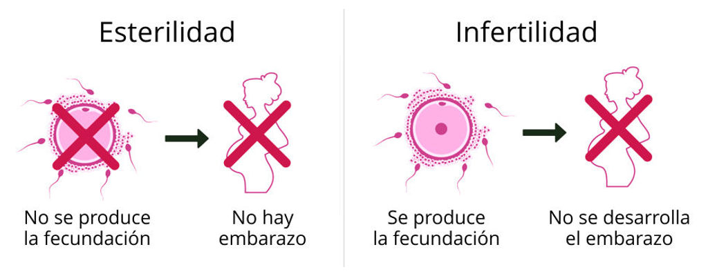 esterilidad e infertilidad en Madrid